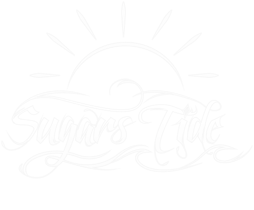 logo of Aqua Action Dive Center St. Thomas USVI